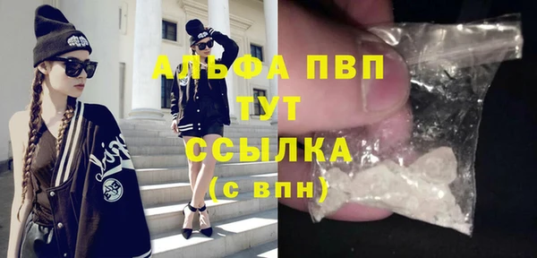 прущие крисы Болохово