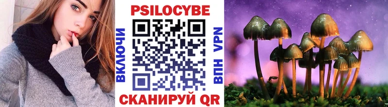 kraken ONION  Ахтубинск  Псилоцибиновые грибы MAGIC MUSHROOMS  где продают наркотики 